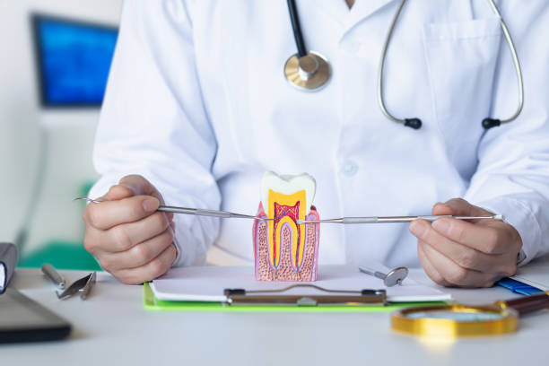 Best Emergency Root Canal Therapy in Crestview Hills, KY